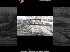 Borsa rotativa automatica di riempimento degli snack macchina di imballaggio di alimenti per animali da compagnia vegetale secco disidratato