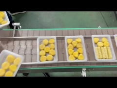 macchina automatica di sigillamento del vassoio 4R con lavaggio a gas sotto vuoto